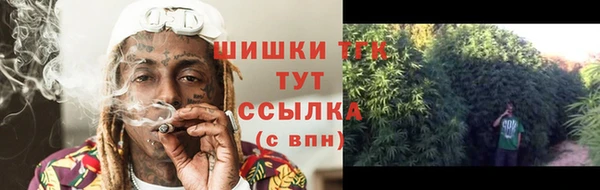 прущий лед Арсеньев