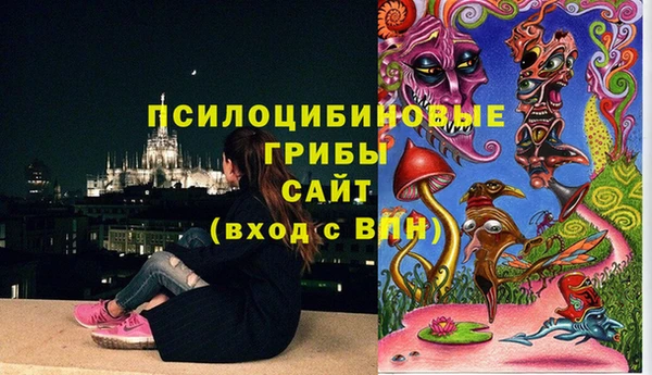 ECSTASY Гусиноозёрск
