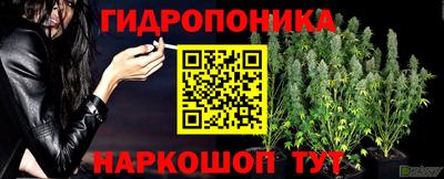 эйфоретик Свободный