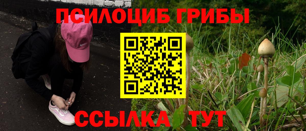 Галлюциногенные грибы мухоморы  Псилоцибиновые грибы Magic Shrooms  Петропавловск-Камчатский  Вход с VPN 