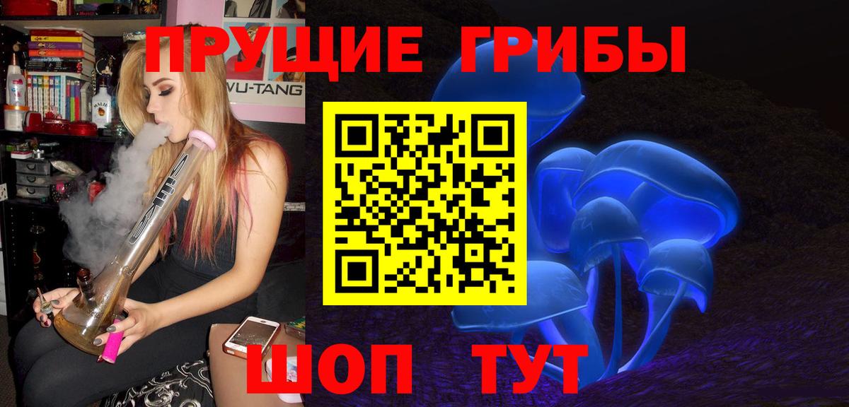 Псилоцибиновые грибы мицелий Петропавловск-Камчатский